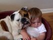 Bulldog and baby