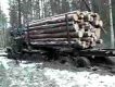 Rusų sunkvežimis kuris laisvai tempia medieną bekele