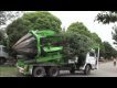 Clyde Road Upgrade - Tree relocation