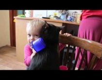 Maža Mergaitė Anička svečiose pas katiną "Šnapsą"