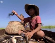Gyvačių gaudytojai Kambodžoje - papuošalai iš gyvačių