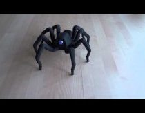 3D spausdintuvu atspausdintas voras šoka rumbą