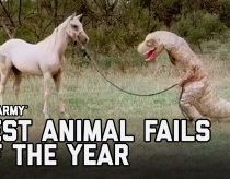 Juokingiausi gyvūnų nesėkmių vaizdeliai