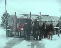 4 horses pull out a truck off the snow