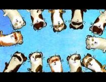 Animation: Ferret dance (A series of tubes)