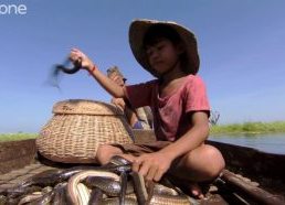 Gyvačių gaudytojai Kambodžoje - papuošalai iš gyvačių