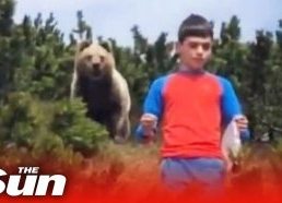 Boy miraculously escapes a dangerously close encounter with brown bear