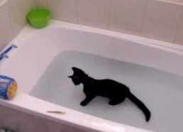 Katinui patinka vanduo!!
