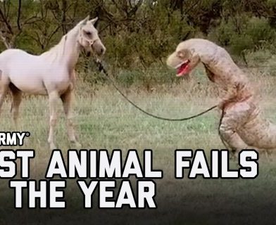 Juokingiausi gyvūnų nesėkmių vaizdeliai