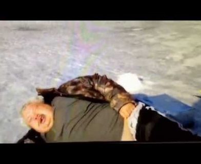 Rare Footage of Intoxicated Walrus